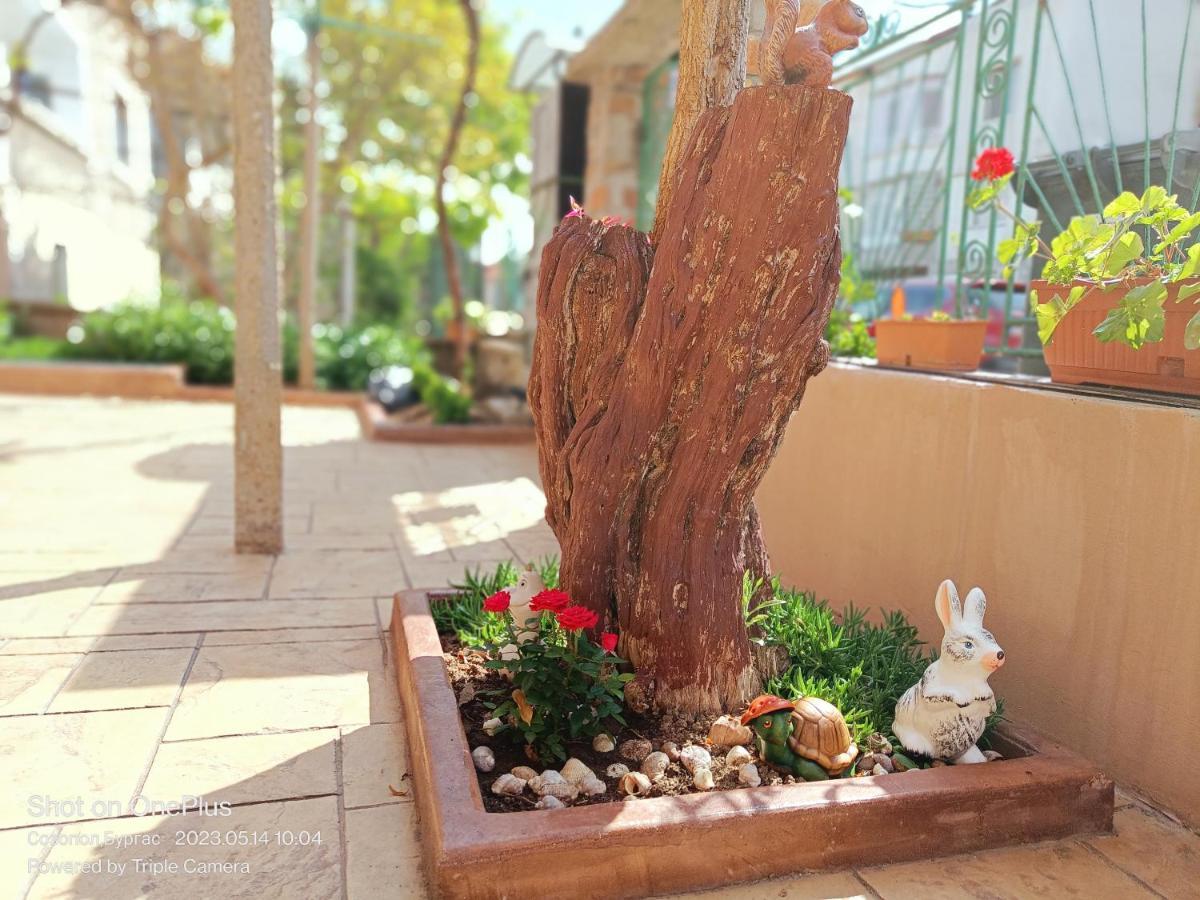Готель Moni 85 Family House Созополь Екстер'єр фото